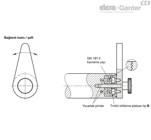 MD187.4_MT-16794-0_TR