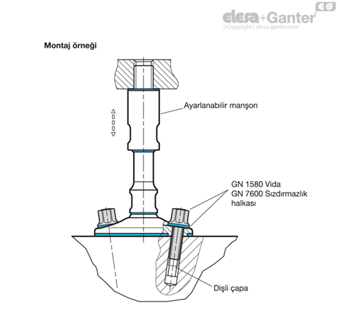 MD20_MT-38646-0_TR