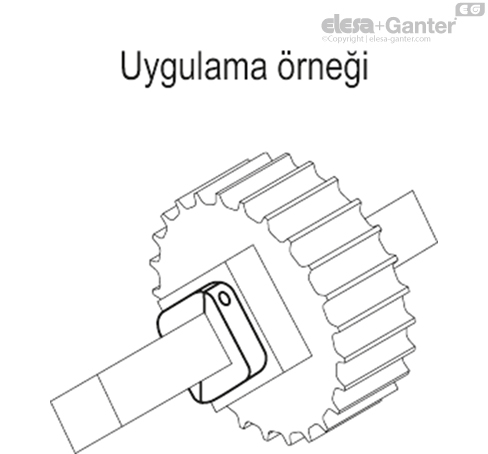 ANPS_Q_ACC_EXAMPLE_TR