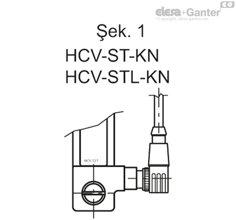 HCV_S_FIG1_TR