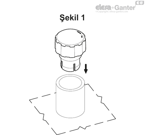 SFN_RT_3D_EXAMPLE_TR