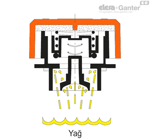 SFW_P_a_SEC_EXAMPLE_TR