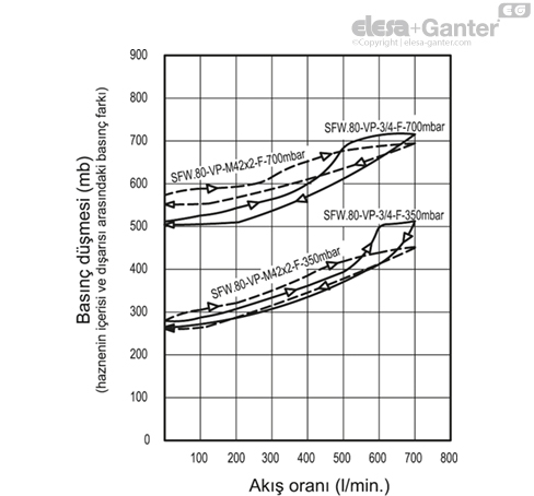 SFW_VP_ACC_GRAPHIC_TR