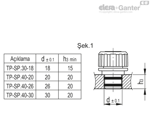 TP_SP_MOUNT_EXAMPLE_TR